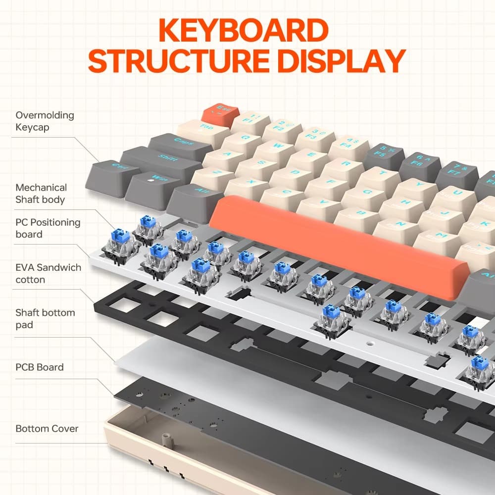 Blue Mechanical Switches